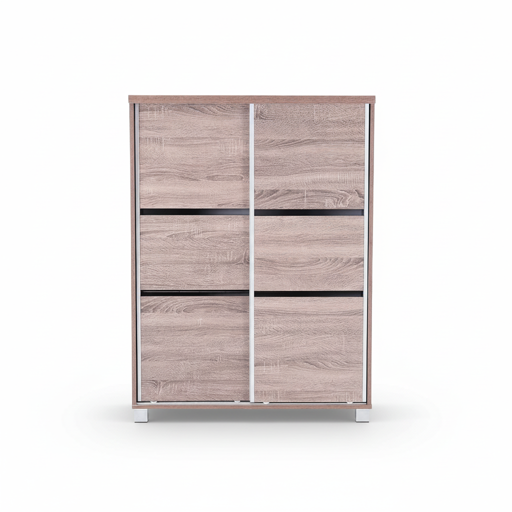 Two-door shoe cabinet with four-panel door design and shelf dividers